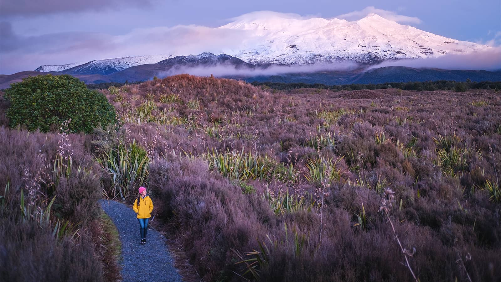 Tongariro Crossing Red Crater